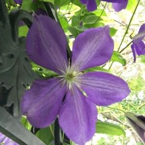 Meet your Posher, Shawn